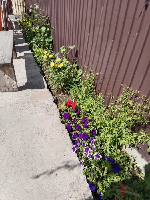 Продам дом на развилке