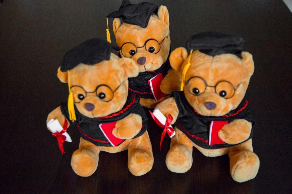 Mascote de absolvire