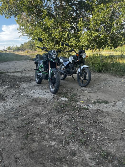 Рейсер Тигр 150 продам