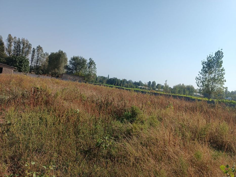 25 сутик участка,шлакоблок билан ураган,хужжатлари жойида.