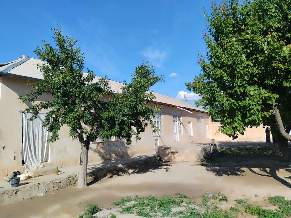 Hovli joy sotiladi 11 sotix