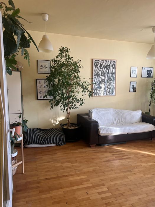 Дава се под наем Двустаен апартамент в София, Младост 4 - 50 кв.м за 561 € - Снимка #21