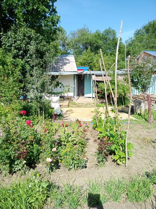 Продам дачу (6,6 соток)