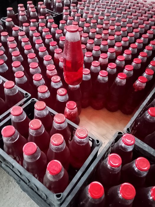 Малина көшеті сатылымда,сорт зюгана