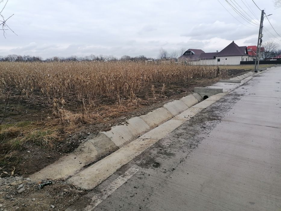 Teren intravilan Fratautii Noi