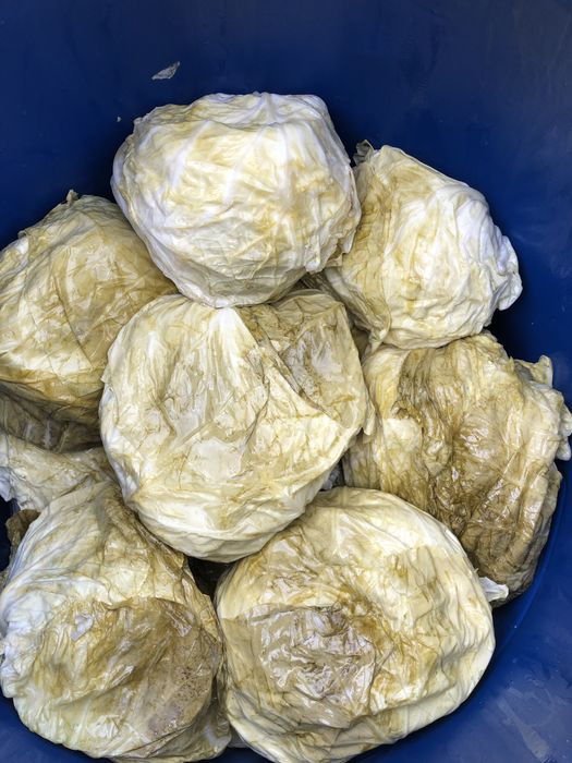 Varza murata romanească cu frunză subtire