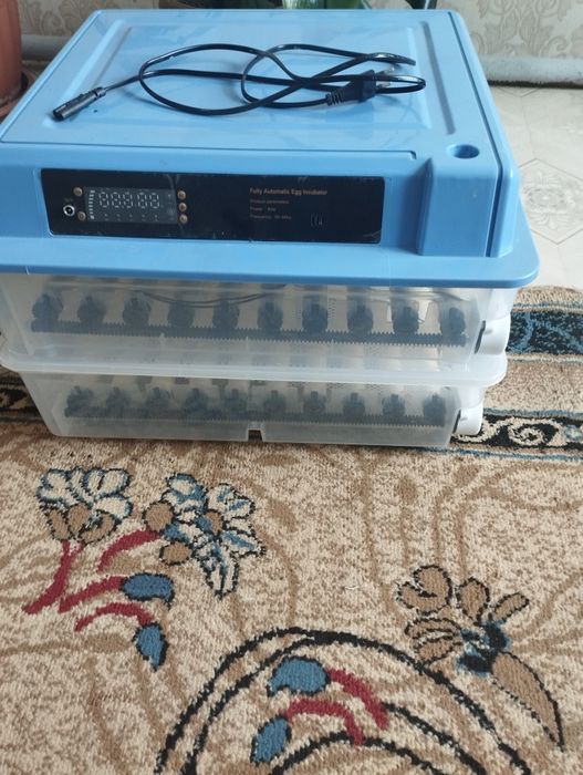 Инкубатор автоматический,