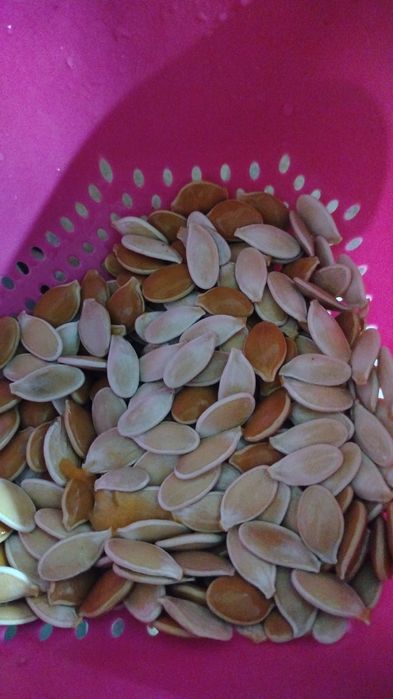 Продам семечки от тыквы домашней