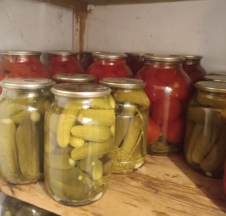 Домашние соление