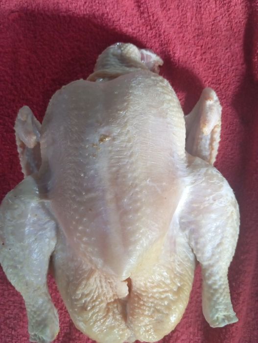 В продаже домашнее мясо бройлера.