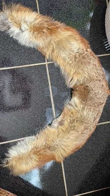 Gulere de blana naturala, caciula de blana naturala