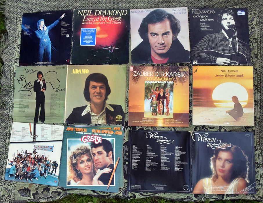 Diascuri vinil , placi picap muzica straina