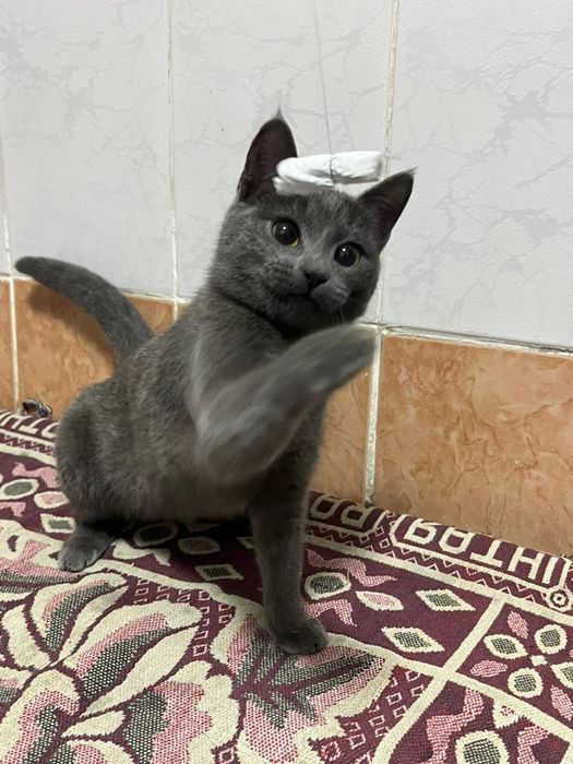 Мальчики подростки