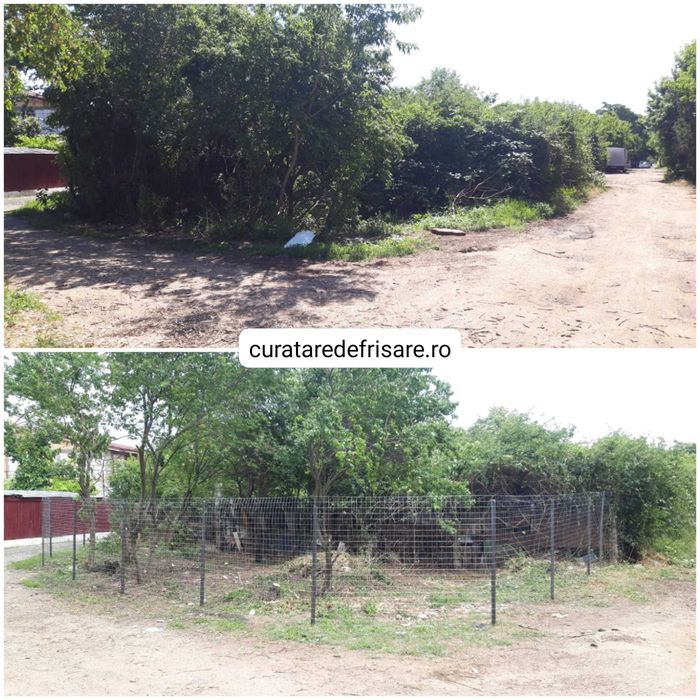 Curatare si igienizare terenuri, imprejmuire, eliminare ambrozie