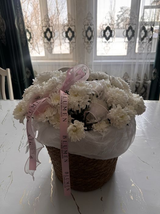 Цветы хризантема