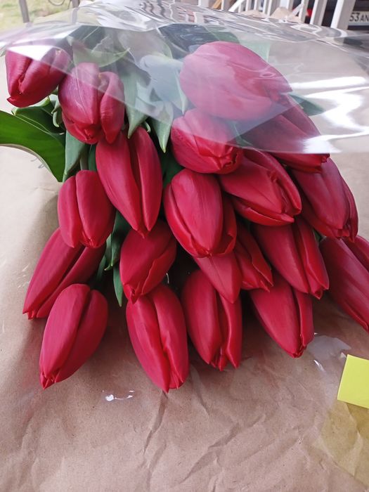 Тюльпаны к празднику