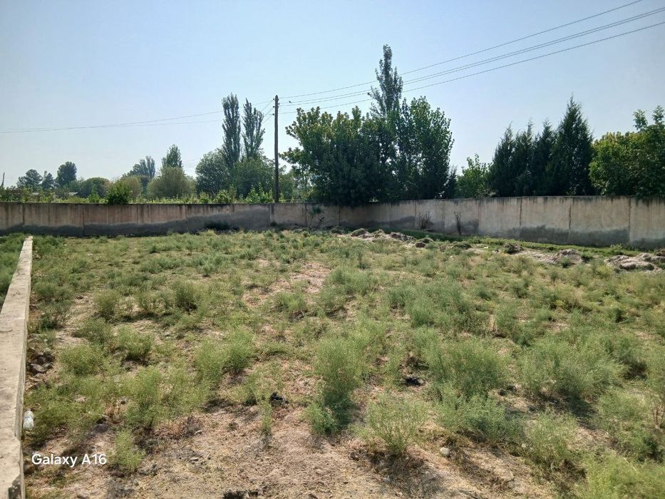 Hazorbog sentr, 9 sotix yer sotiladi