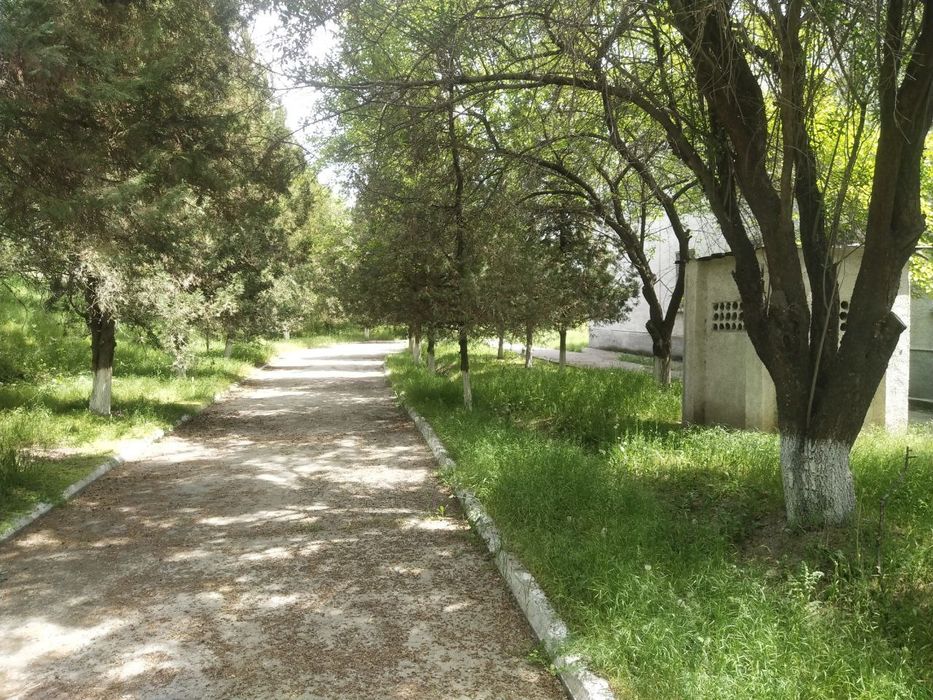 Продается земля под производство 5,5 Га Ангрен