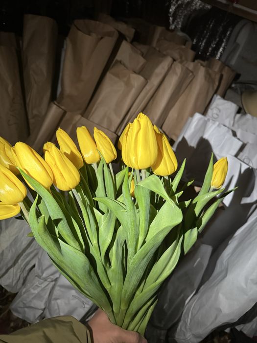 тюьпаны оптом и розницу