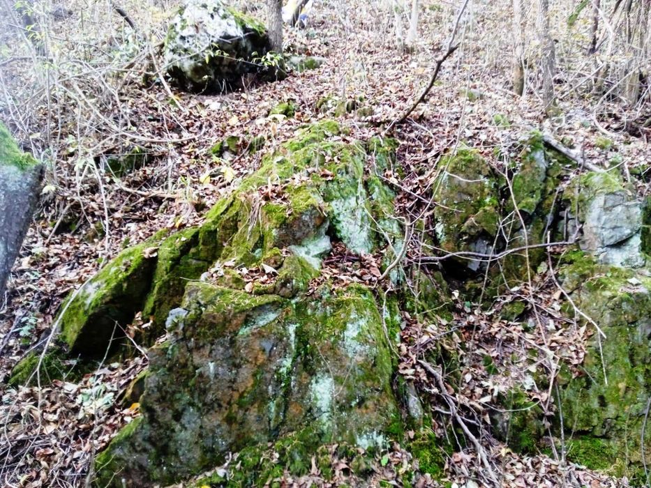 Продавам малка вила