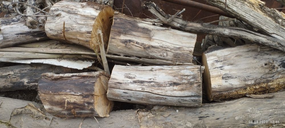 ПРОДАЮ (не покупаю) дрова распиленной на бруски орешины и тутовника