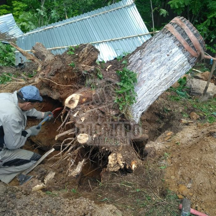 Выкорчевка деревьев Выкорчевка пней Планировка участка