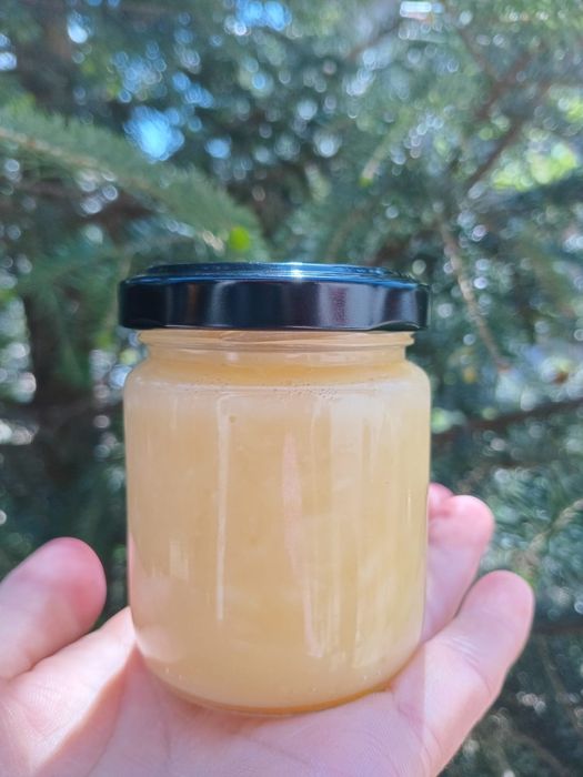 Laptisor de matca pur 100%