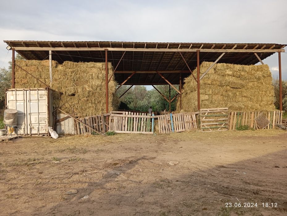 Продаётся КХ фазенда