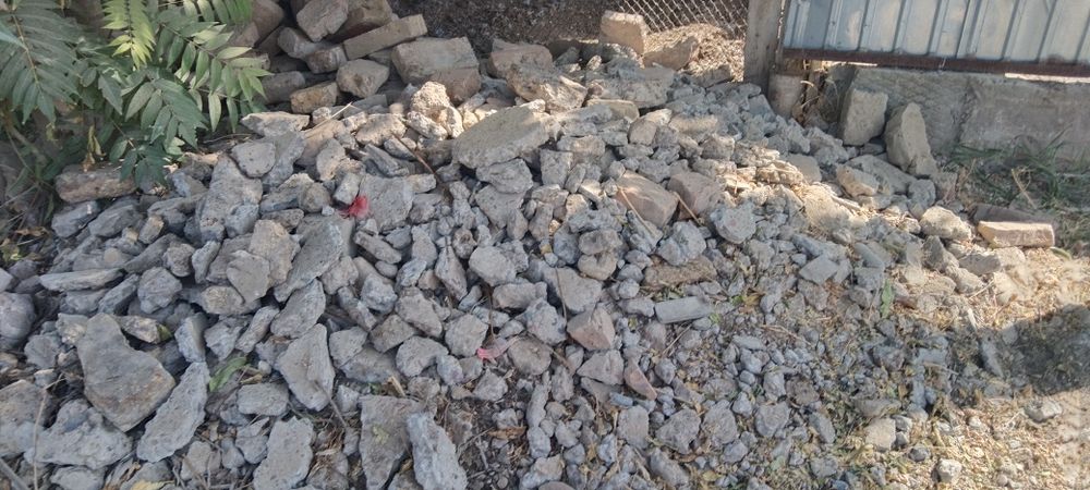 Алып кетсе болады