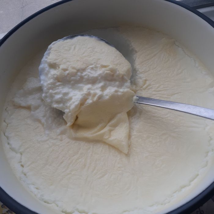 Домашнее молоко (сиырдың суті)