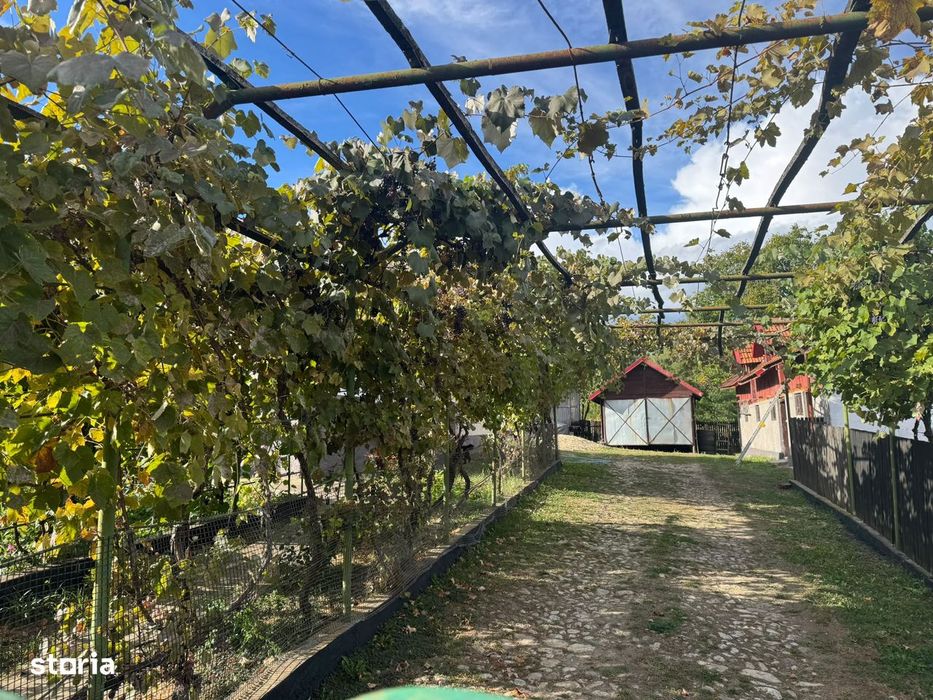 Proprietate cu Doua Case