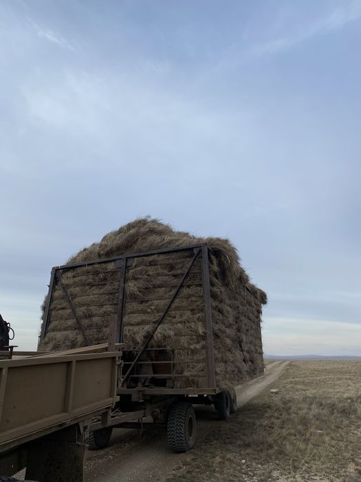 Прицеп Птс-13 (кассета)