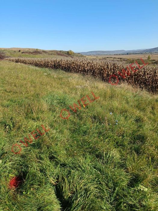 De vânzare terenuri extravilane, situate în Glodeni