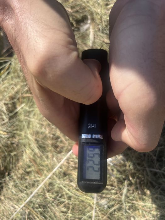 Продам сено в тюках