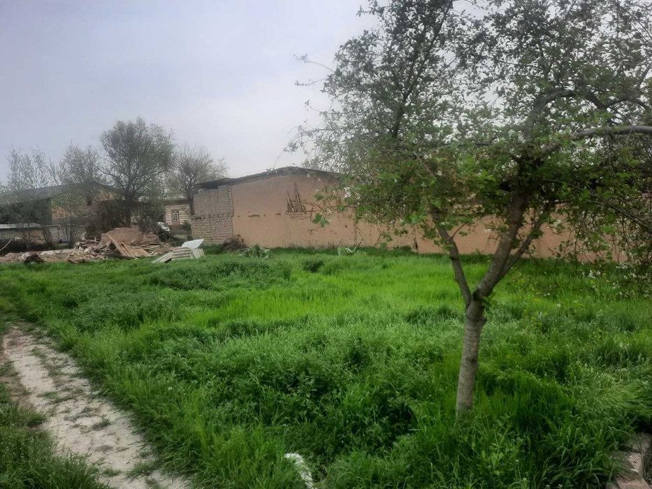 Кибрай тумани, Откир маҳалласида 6 сотих ер участкаси сотилади!