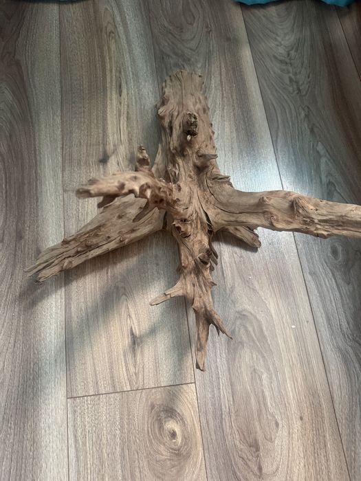 Decor acvariu !