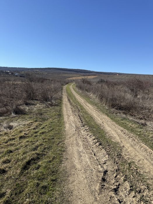 Vand teren Intravilan comuna Tomesti sat Goruni