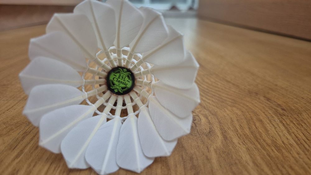 Fluturasi Badminton RSL