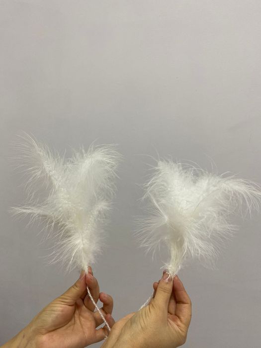 Продам үкі по 500 тт