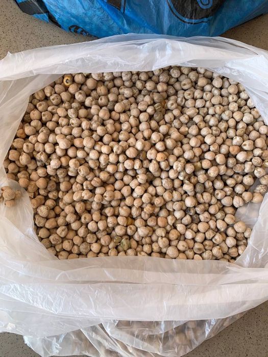 Бидай, арпа және сұлы көтерме сату