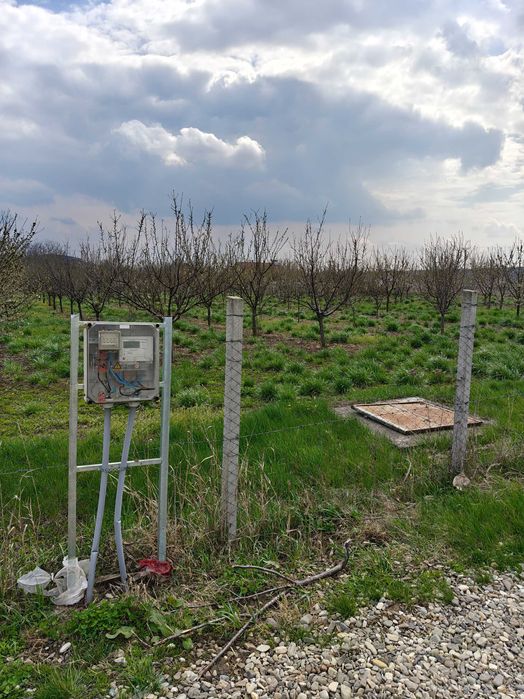 Teren de vanzare sat Madarjesti (com Baltati)