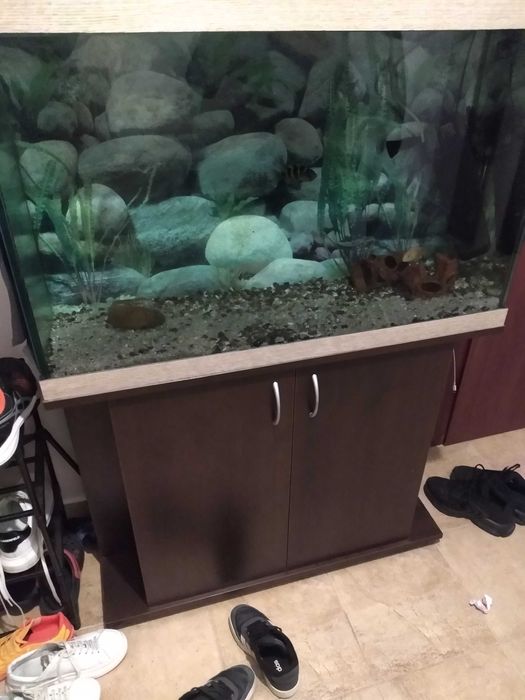 Аквариум 180 литра размери д 90/в 63/ш 35 см и долен шкаф/стойка