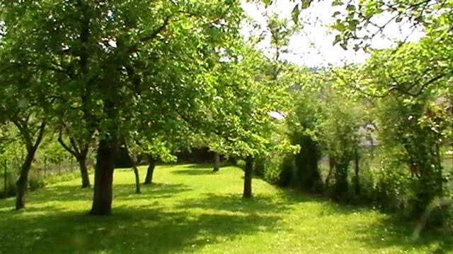 PROPRIETATE: 1500 mp, cu casa saseasca autentica, in Cristian, Brasov