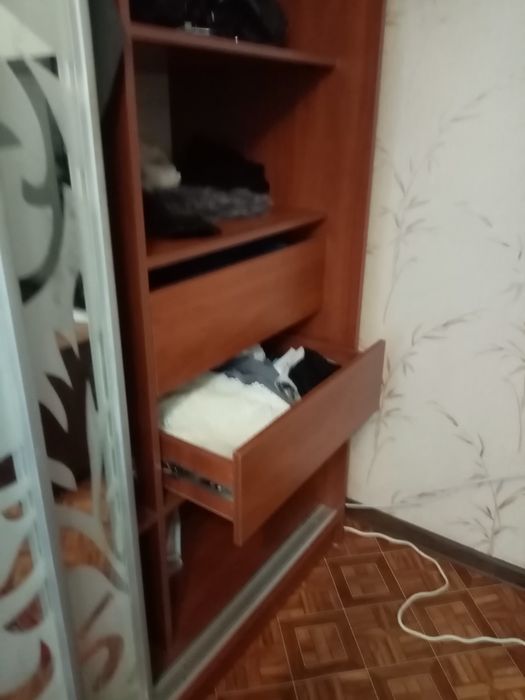 ШКАФ-КУПЕ (двери зеркало с рисунком)