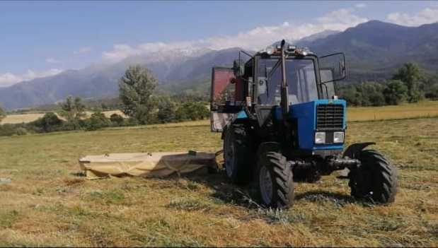 Услугу Трактор Беларусь МТЗ 82.1.