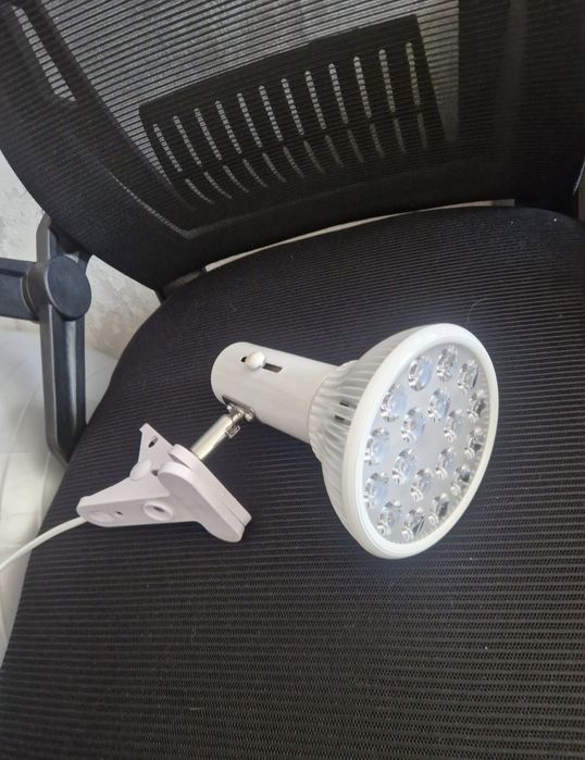 Фото лампа от желтушки