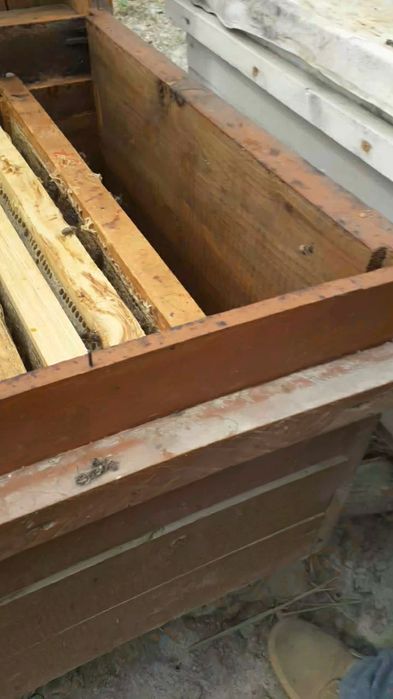 Buxoro vil. Kogon t.da Asalori oilasi sotiladi 1 ta ramkasi 150 000 co