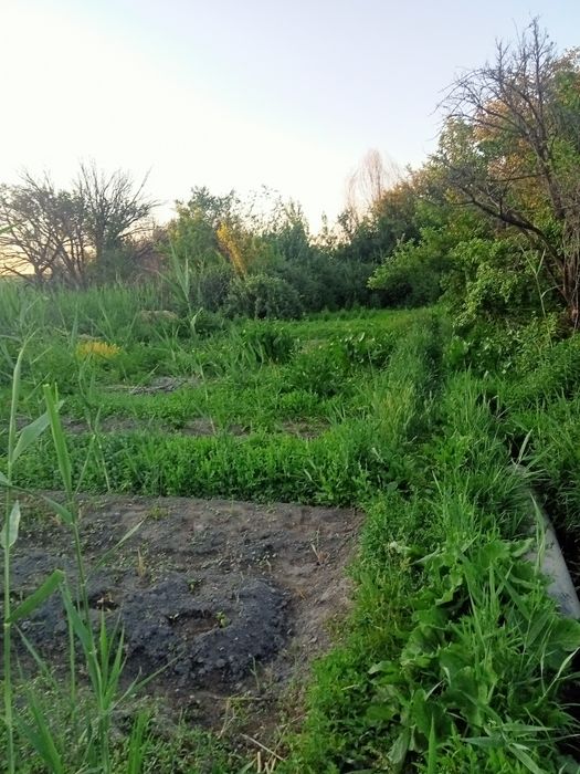 Продам дачу" Жемчужина"