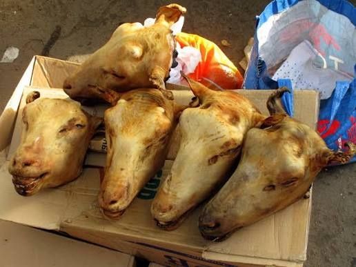 Қойдың басын ұйыту