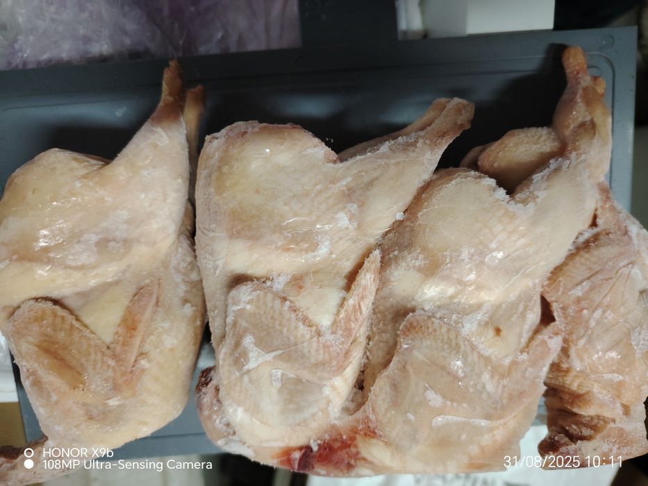 Мясо перепелиное. Перепела.